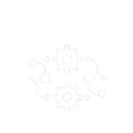 download 41 removebg preview